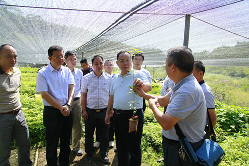 �������������Ҷ����������Ի��ء�