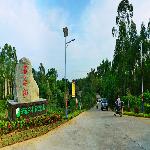 ��̬����