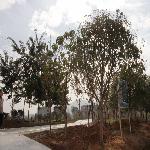 ��̬����