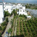 ��̬����