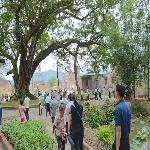 ��̬����