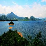 ��̬����